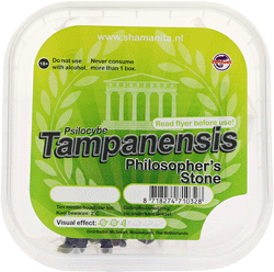 McSmart Tampanensis Truffles